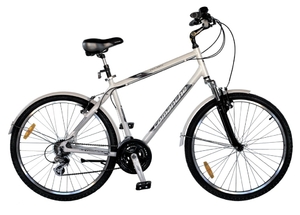 Comanche Holiday M