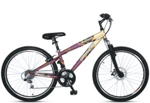 Comanche Ontario XM